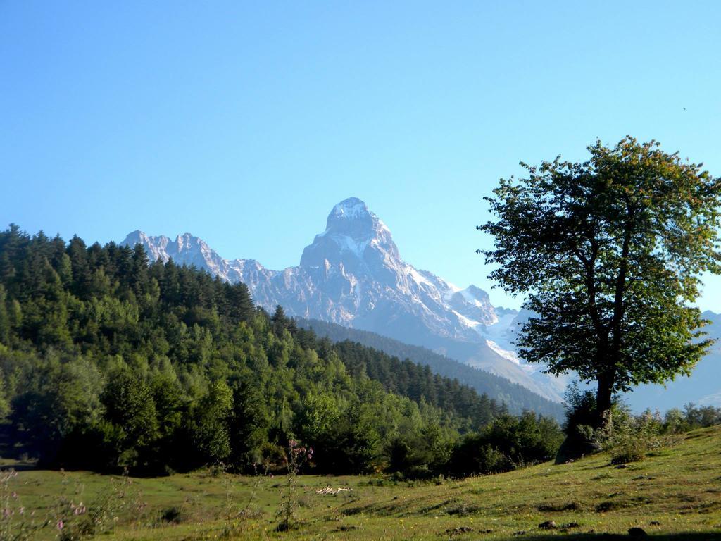 Guest House Lankhvri Becho Dış mekan fotoğraf